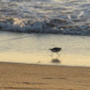 Meet your Posher, Jeanne